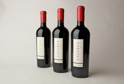 3 bottle 2010-2012 Paratus Vertical Image